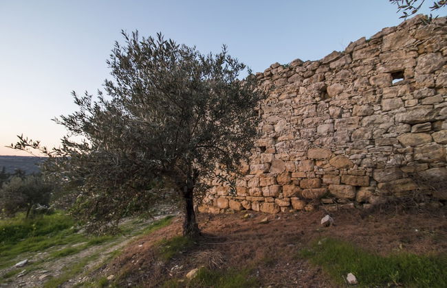 Dioni Palace - Photo 17