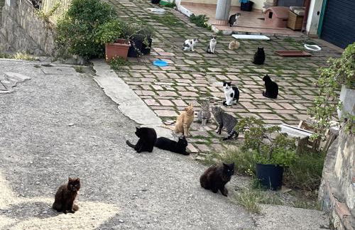 Borgo Piazza Apartments - Photo 50