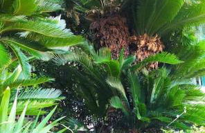 Joanna House - JApartments - Foto 24