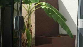 Apartamento térreo aconchegante perto das melhores praias de Niterói - Foto 5