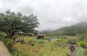 Figueira do Rio do Boi Com Hidromassagem - Foto 8