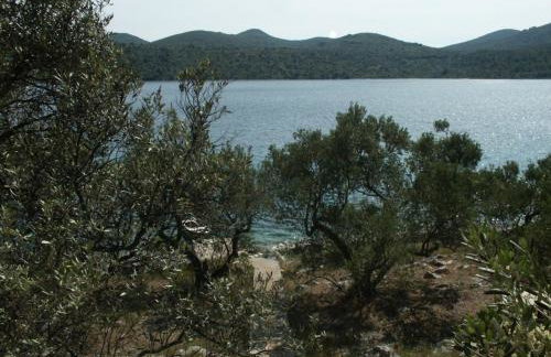 Secluded fisherman's cottage Krknata, Dugi otok - 888 - Foto 25