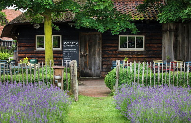 Cozy Group House in Reusel in a Natural Environment - Foto 57
