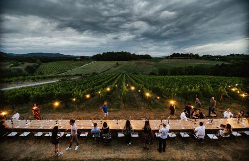 Perelli Winery - Foto 8