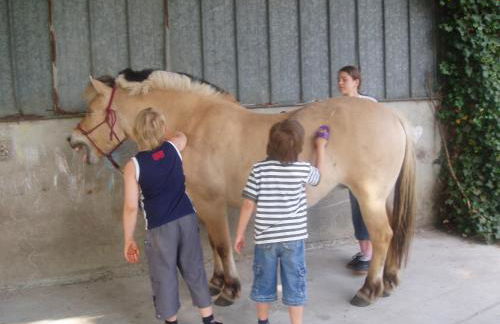 Ferienwohnung 1 - Foto 12