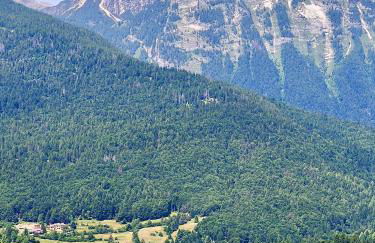 Appartamento Ciclamino - Foto 6