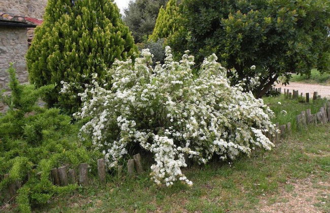 Agriturismo Podere Casetta - Foto 35