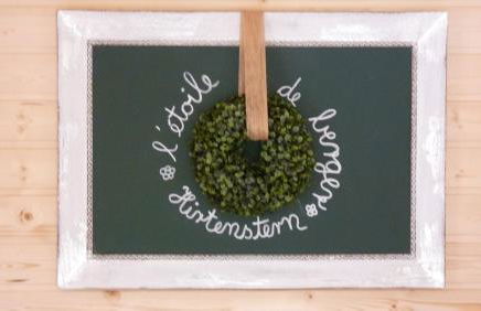 Schäferwagen "Hirtenstern" - Foto 7