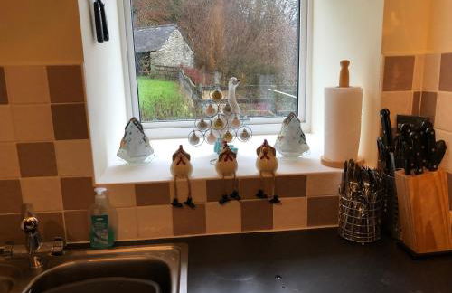 Bryn Melyn Farm Cottages - Foto 37