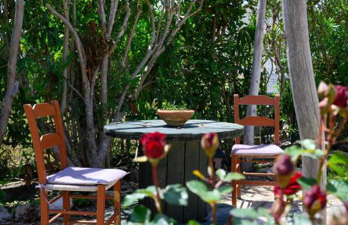 Harmony Corfu Apartments & Studios - Foto 49