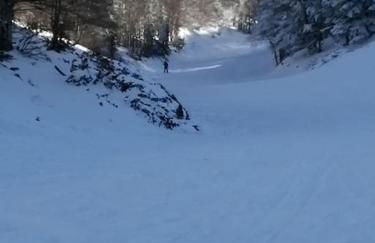 petit nid montagnard - Foto 8