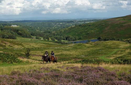 Famau View Farm- Stunning countryside location - Foto 48