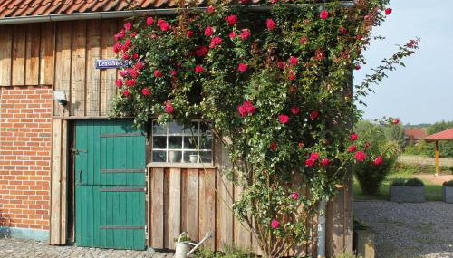 Ferienvermietung Meerlandliebe - Foto 2, Garden