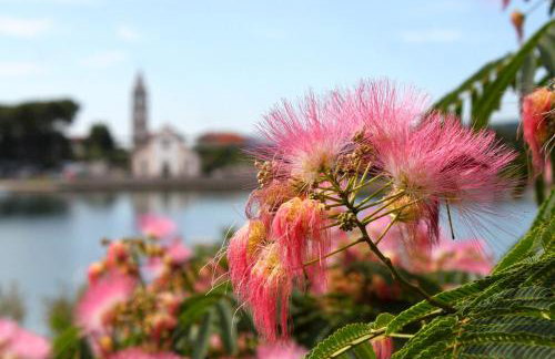 Apartments by the sea Pasman - 8221 - Foto 19