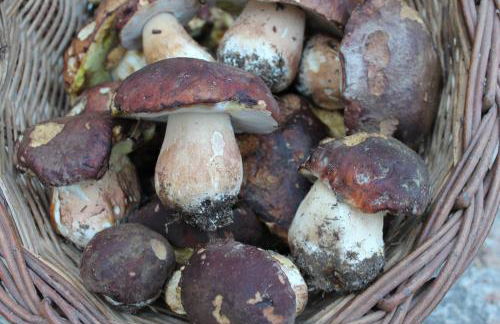 Turismo Rural Casa Sastre - Photo 26