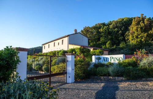 Casa Vacanze "Casale al Pino" - Foto 19