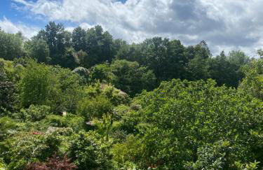 Quinta de Ribas - Foto 50