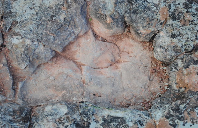 Castillo De La Riba - Foto 21