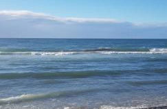 Apartamento con jardín y piscina Pet friendly - Photo 46