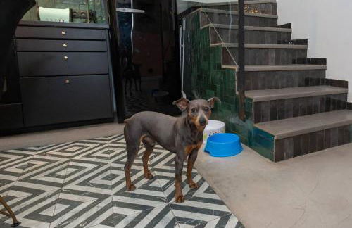 Casa Maria Townhouse- terrace-4 bedrooms - Photo 56