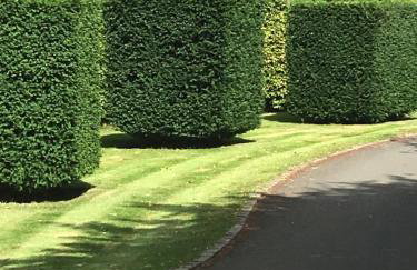 No.10 Broadway - Foto 62