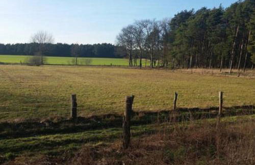 Hof Heideland 2 - Fenster zum Hof - Foto 11