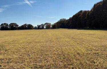 Texoma Getaway - Tiny House on a Pharm - Foto 20