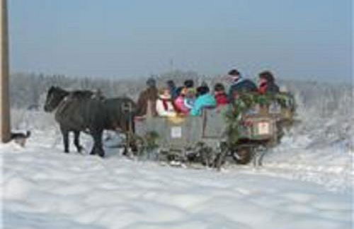 Reiterhof Mühlbauer - Foto 15