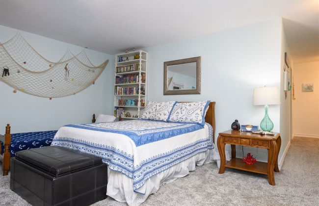 Dolphin Paradise - Photo 6