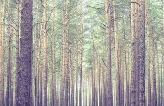 Kleine Auszeit im Seenland - Foto 20