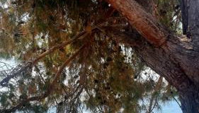 Apartman Jopa - Photo 5