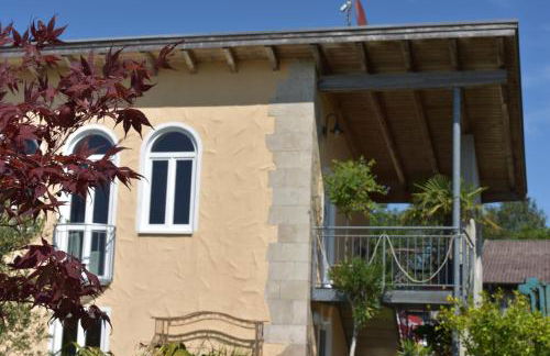 Palmengarten - Foto 1