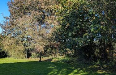 Molly's Cottage - Foto 9