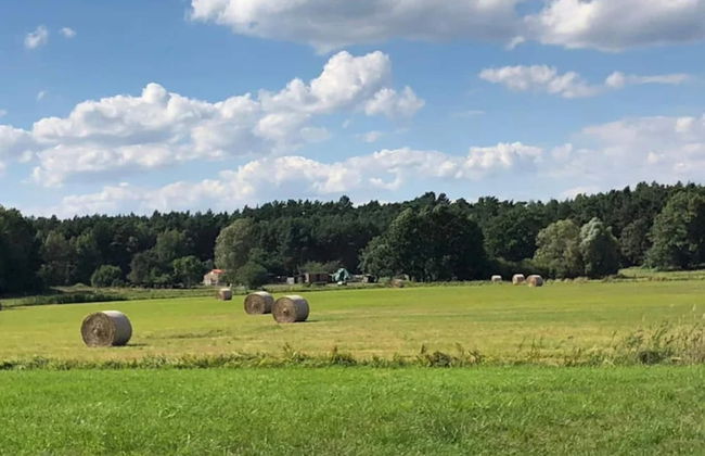 Feriendorf am Weinberg, Dobbrikow - Foto 21