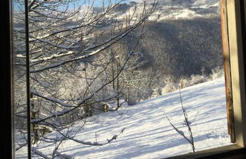 Casetta immersa nella natura - Foto 18