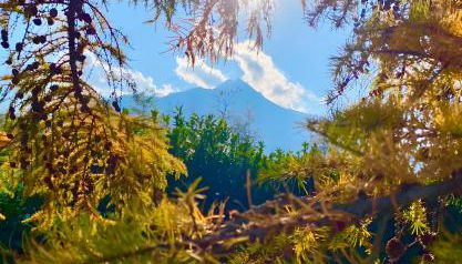 Alpi Liguri - Villa Giulia - Foto 5