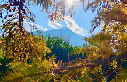 Alpi Liguri - Villa Giulia - Foto 5