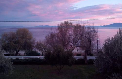 V.K.Seaside Villa - Foto 61