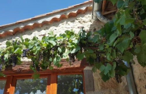 Gîte Les Voûtes du Chambon - Foto 68