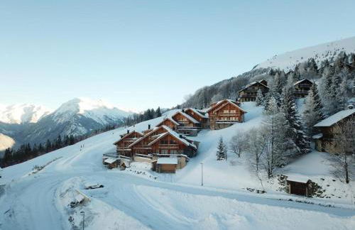 Chalet Le Yéti de Villard 14 Prs - Domaine Alpe d'Huez - Bain nordique - Foto 23