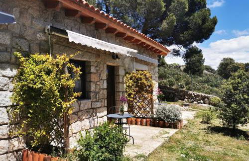 Huerto San Antonio - Foto 101