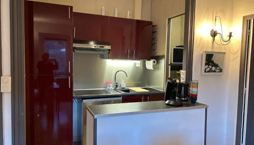 Cosy T2 au Mont Dore Sauna privé et vue montagne proche thermes - Photo 5