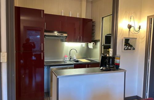 Cosy T2 au Mont Dore Sauna privé et vue montagne proche thermes - Foto 5