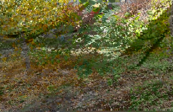 Just You in Neepawa Vacation Home - Photo 10