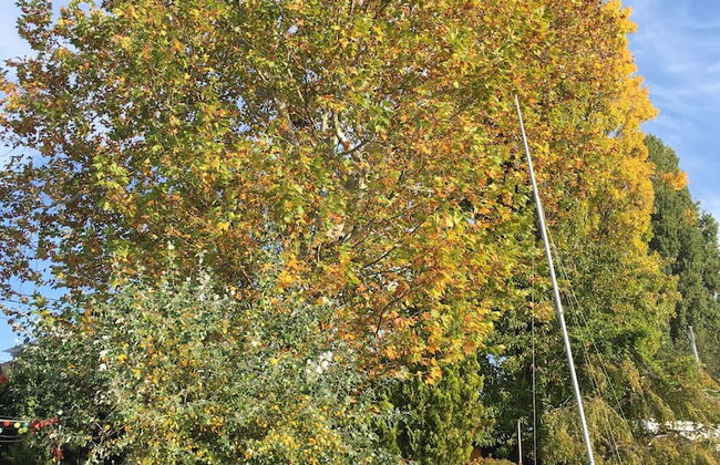 AJO Vienna Beach - Contactless Check-in - Foto 76