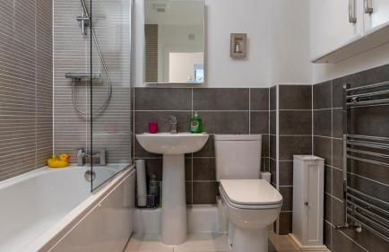 Seahorses - Photo 18