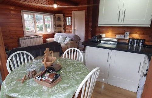 Snowdonia Escapes # TRANQUIL CABIN with Views, Wi-Fi, Dog Friendly & Parking - Foto 16