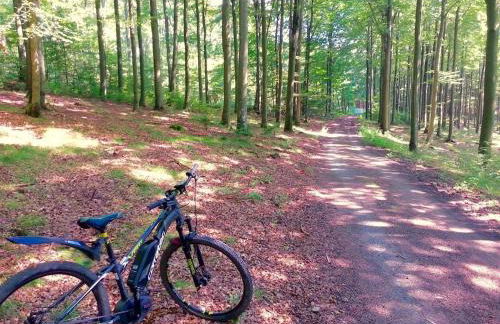 Ferienwohnung Little Home in Winterberg-Neuastenberg - Foto 34