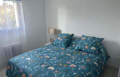 Belle Maison MALOU climatisée calme, piscine, jacuzzi 3km plage Labenne Capbreton - Foto 19