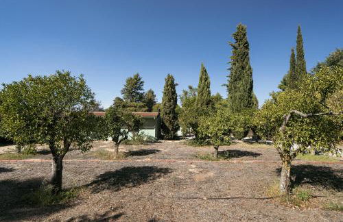 NEW! Quinta de Zanão House - Foto 44